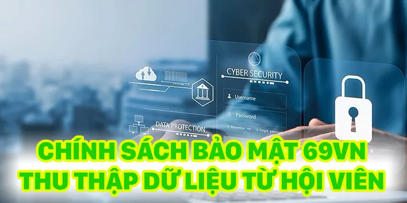 Nhà cái thu thập nhiều dữ liệu trong quá trình vui chơi của hội viên